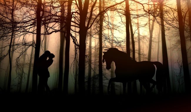 Novela romántica paranormal