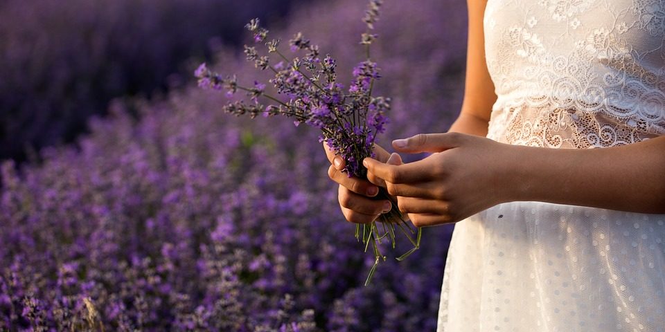 lavender-3576132_960_720